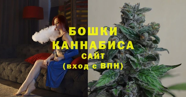 ECSTASY Богородицк