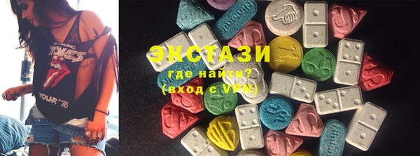 ECSTASY Богородицк